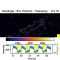 Scientists develop fastest calcium indicators yet for neural imaging