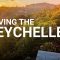 Saving the Seychelles – Reforestation to fight climate change