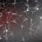 Our (Super)human Brains