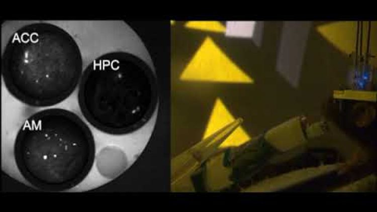 1734855892_hqdefault.jpg