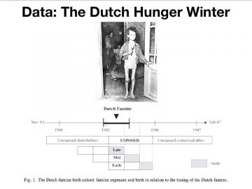 1734927606_maxresdefault.jpg