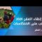 يوم إنهاء الفقر، 2020: التغلب على الانتكاسات
