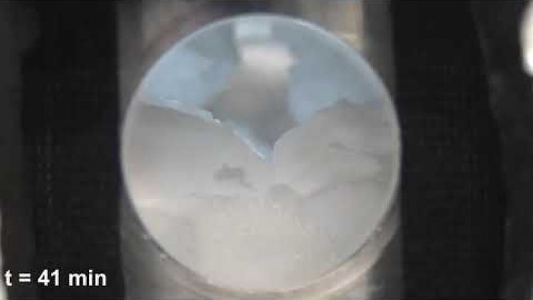 1735005888_hqdefault.jpg