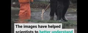 1735060120_hqdefault.jpg