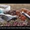 Enabling Farmers to Adapt to Climate Change