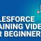 Salesforce Training Video For Beginners | Salesforce Admin 201 Training | Edureka Rewind