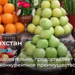 1735161604_maxresdefault.jpg
