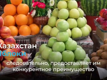 1735161604_maxresdefault.jpg