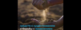 1735191016_maxresdefault.jpg