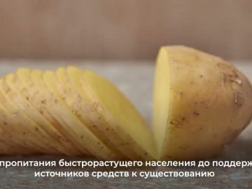 1735194678_maxresdefault.jpg