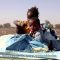 Más allá de las fronteras: Apoyar el pastoreo en África