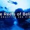 The Reefs of Belize – 360° Video