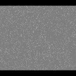 1735311546_hqdefault.jpg