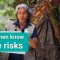 Guatemalan women lead disaster prevention with local knowledge