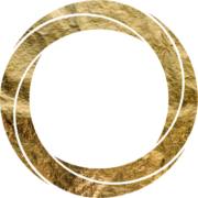 Site icon for Nexus Reports