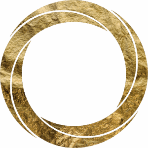 Site icon for The Global Centre for Risk and Innovation (GCRI)