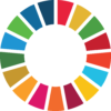 SDG Wheel