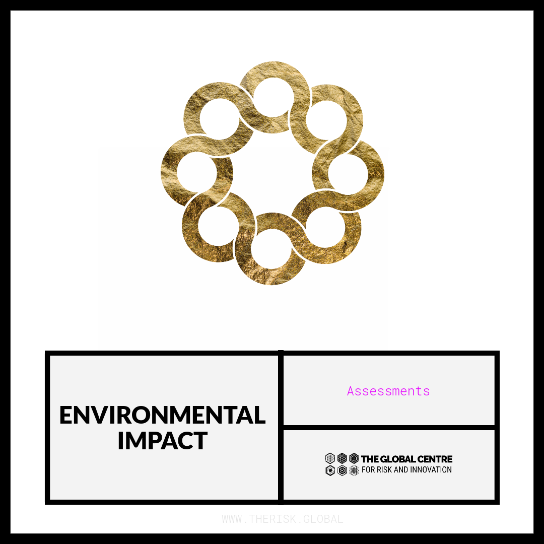 Environmental Impact Assessment (EIA) Path