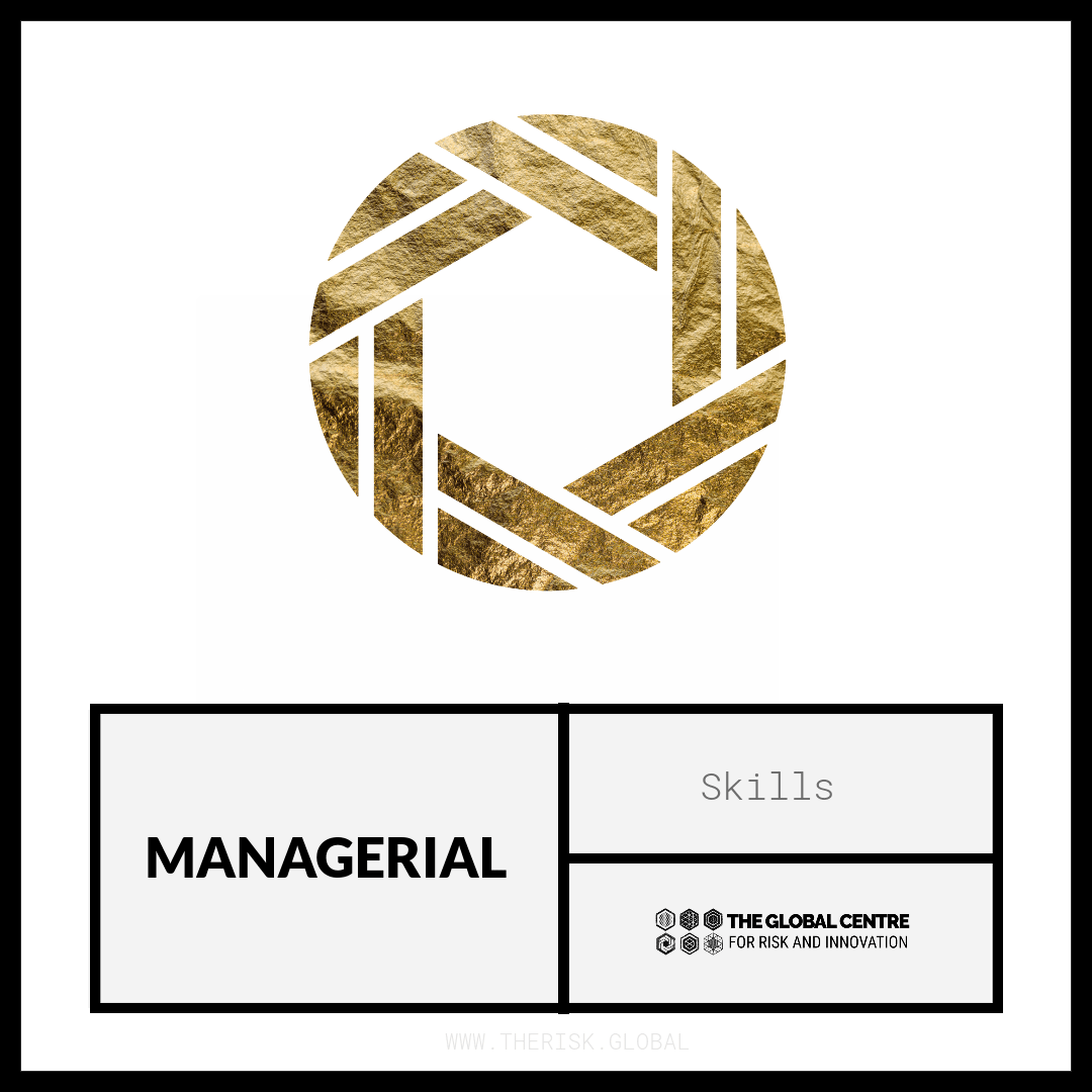 Managerial Skills