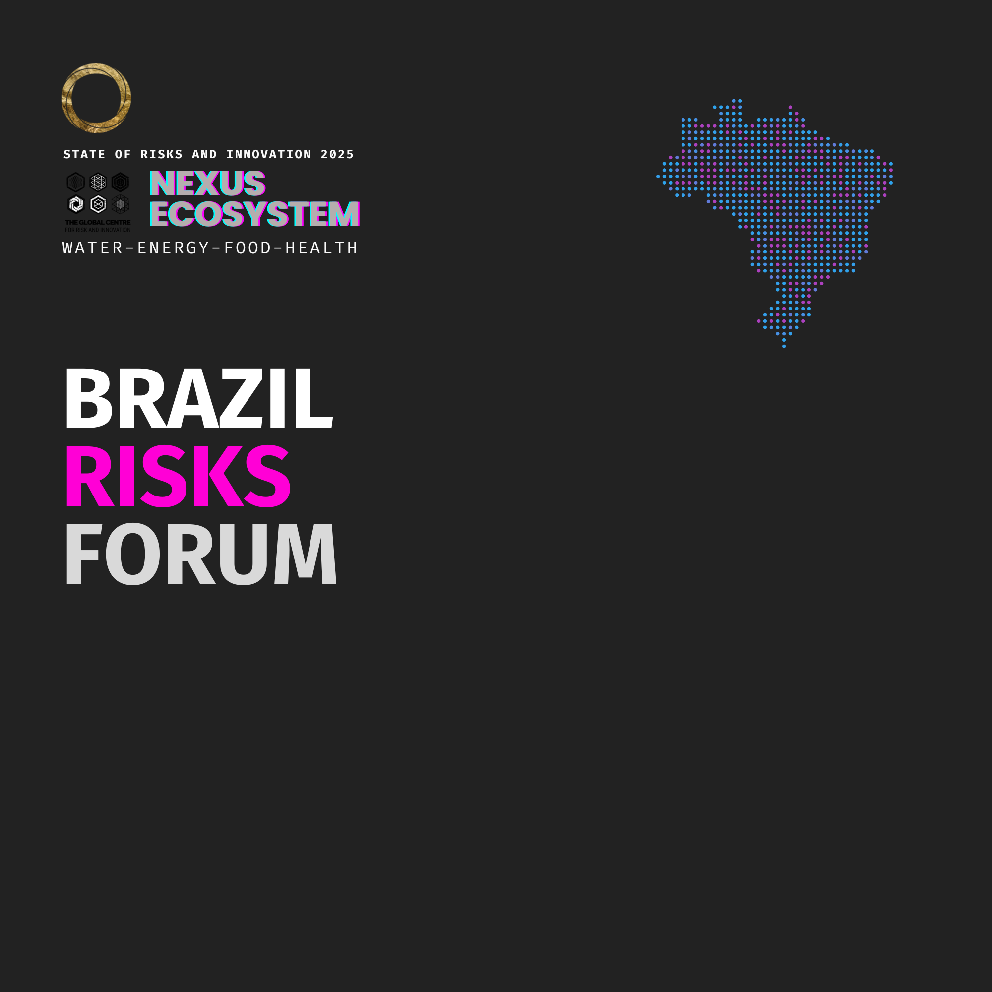 Brazil Risks Forum 2025 7 Brazil Risks Forum