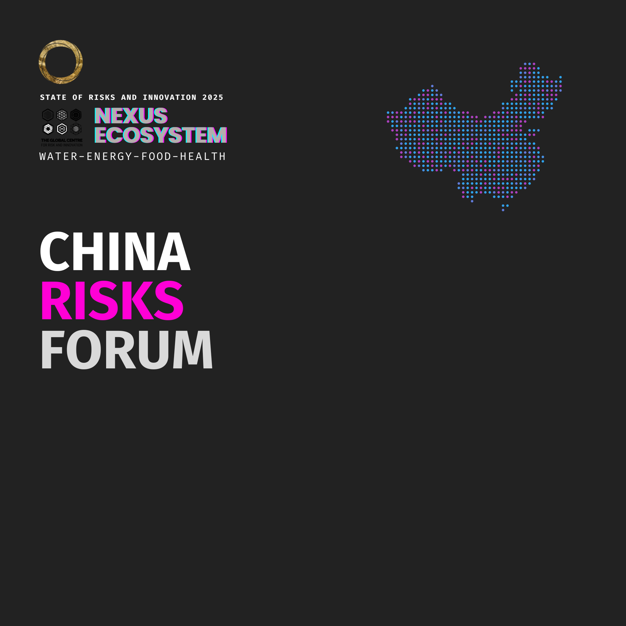 China Risks Forum 2025