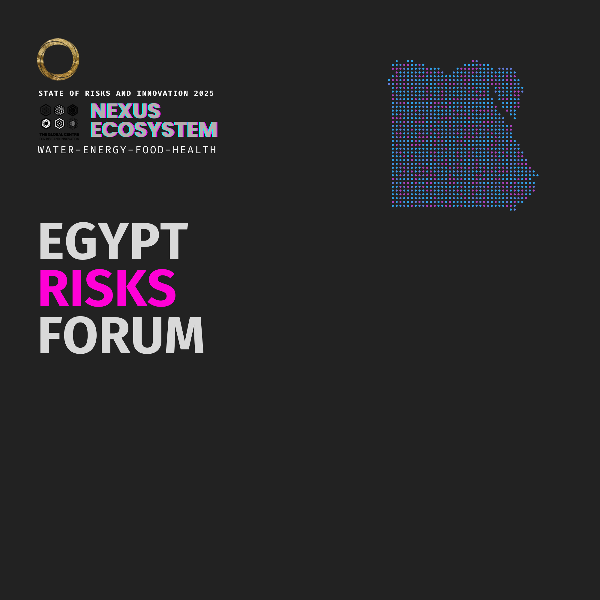 Egypt Risks Forum 2025