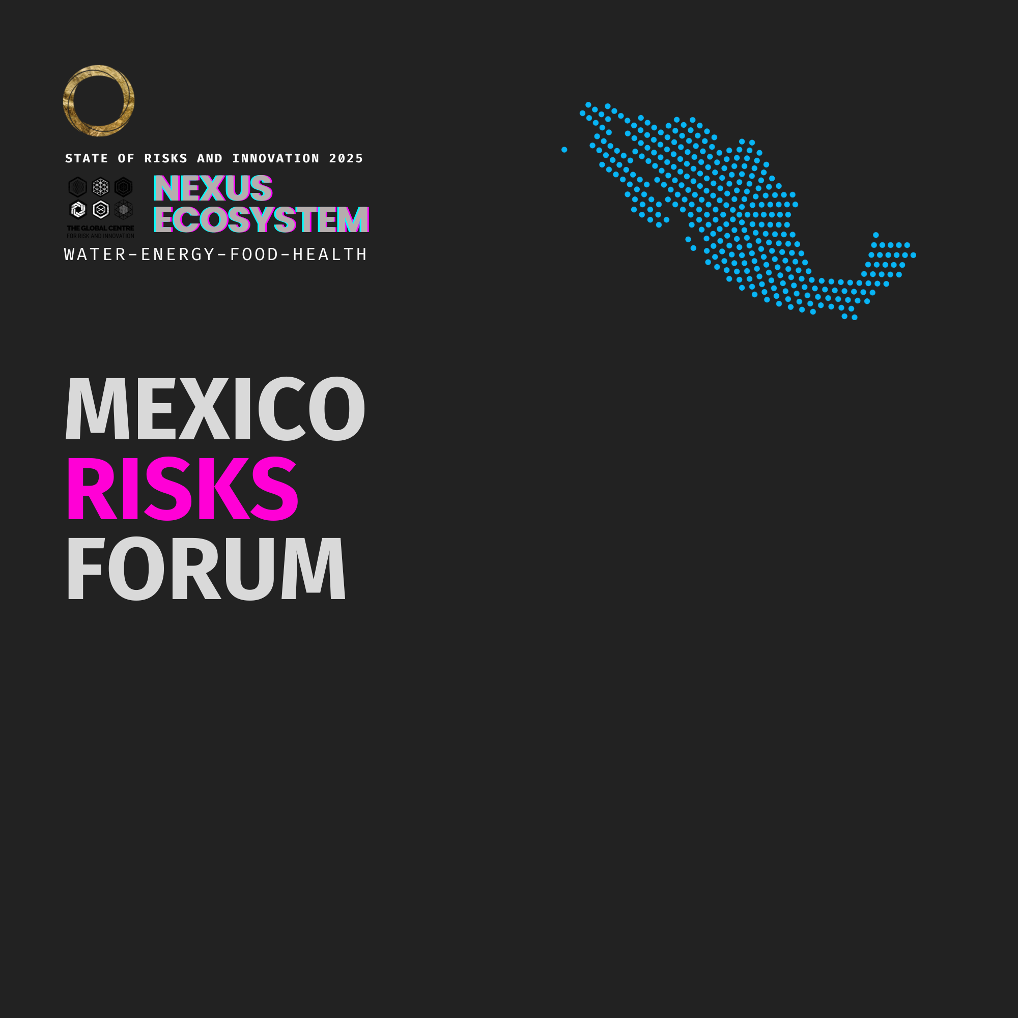Mexico Risks Forum 2025