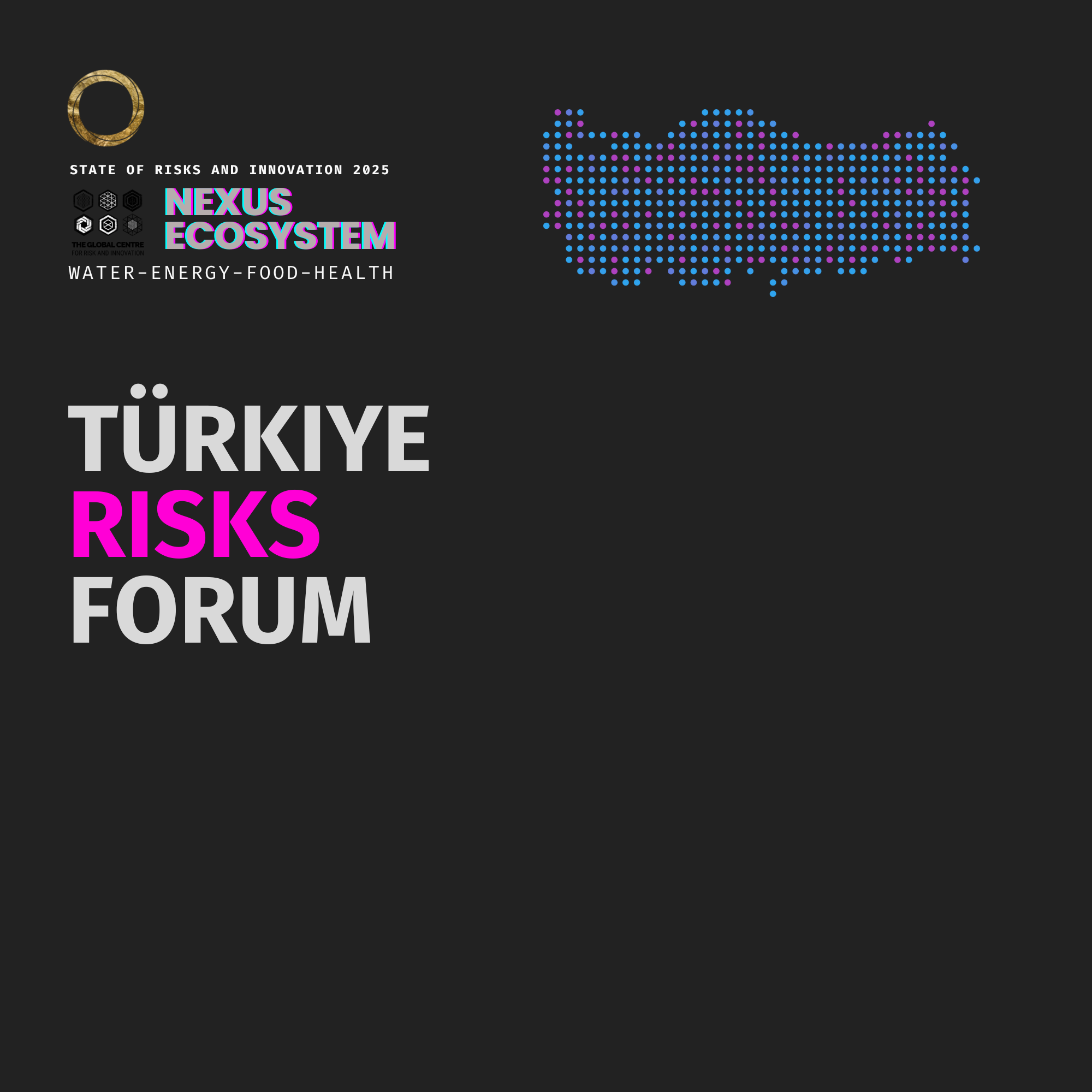 Türkiye Risks Forum 2025