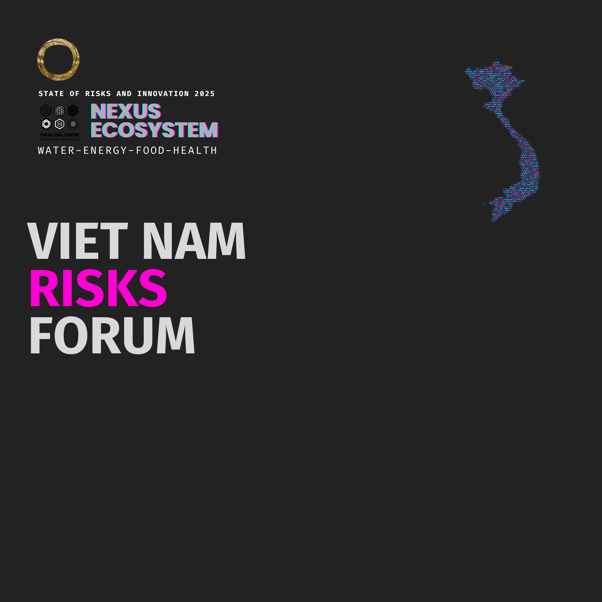 Viet Nam Risks Forum 2025