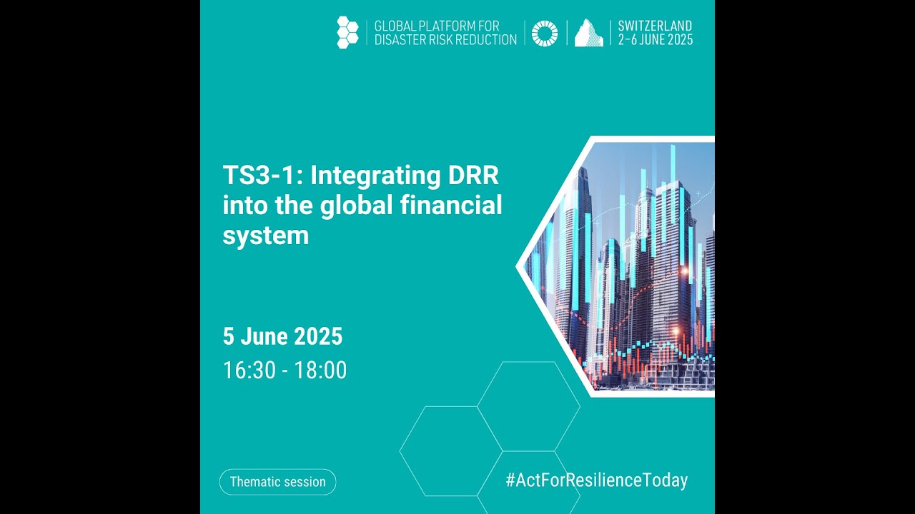 Integrating DRR into the global financial system | UNDRR