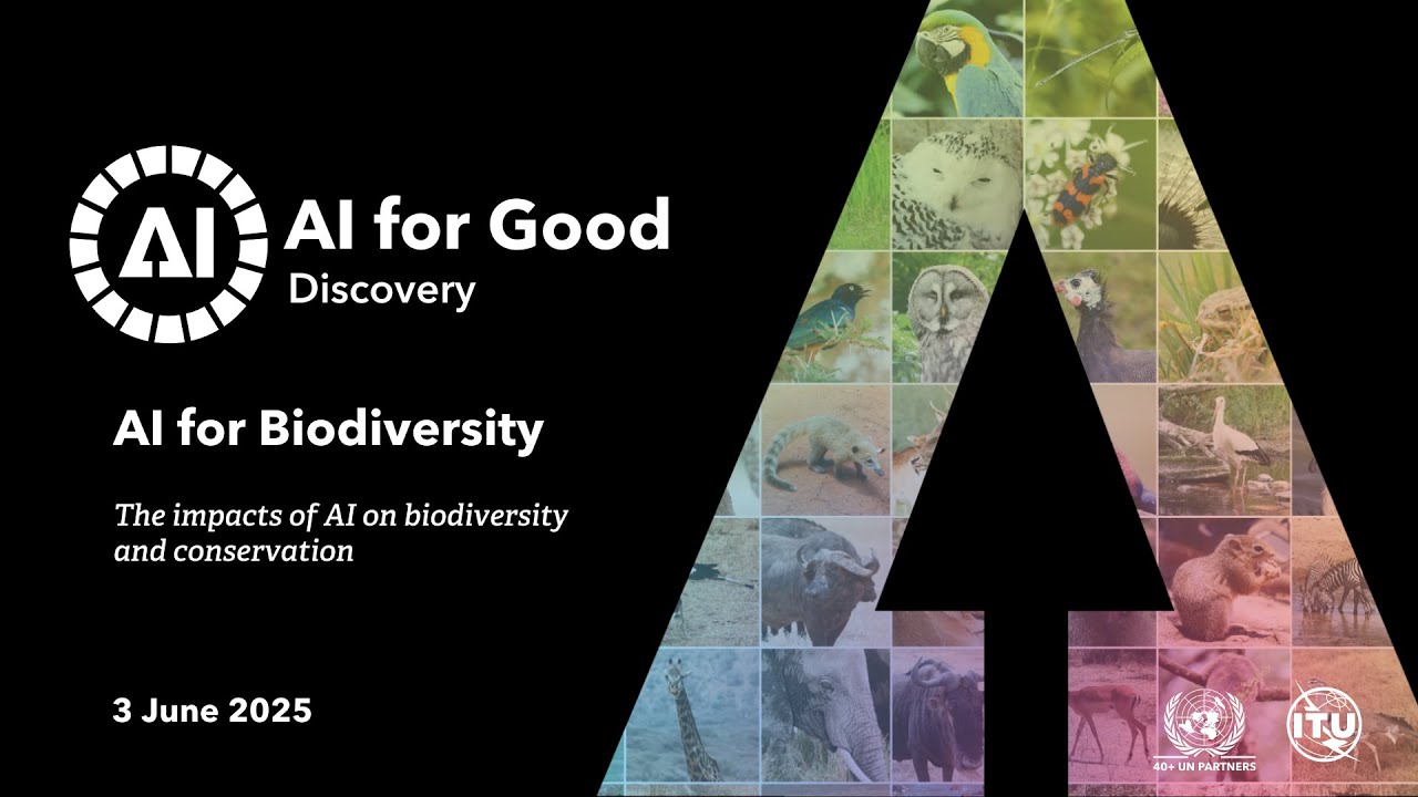 The impacts of AI on biodiversity and conservation